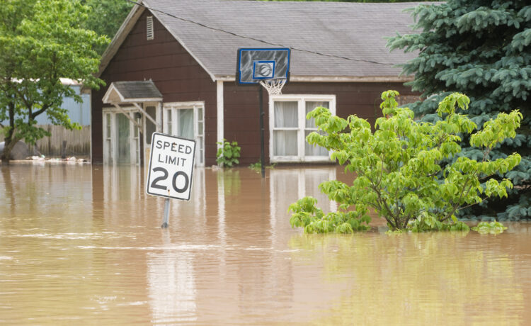 How To Handle Flood Damage