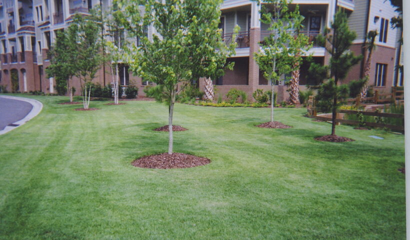 Lawncare Tips from a Huntsville Property Manager