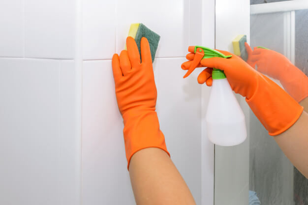 Mould Removal Methods: What a Cleaning Expert Recommends