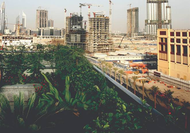 Healthy Buildings Start Within: The 4 Core Pillars of Indoor Environmental Quality and Building Pathology Healthy Buildings